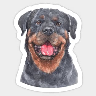 Rottweiler Watercolor Art Sticker